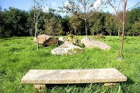 Respect Woodland Green Burials 280870 Image 6